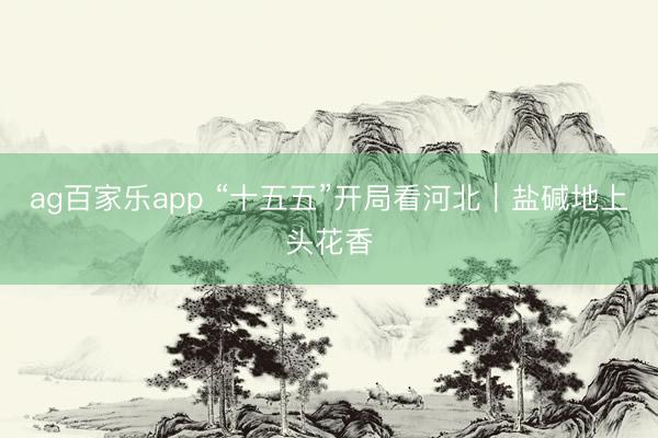 ag百家乐app “十五五”开局看河北｜盐碱地上头花香