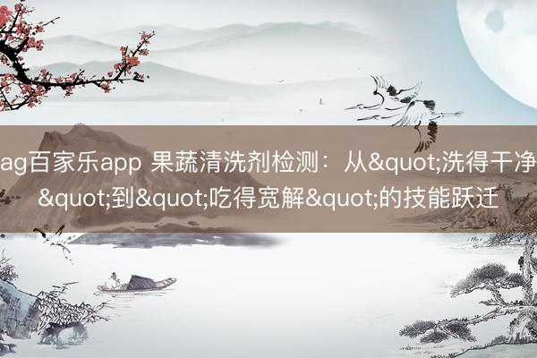 ag百家乐app 果蔬清洗剂检测：从"洗得干净"到"吃得宽解"的技能跃迁