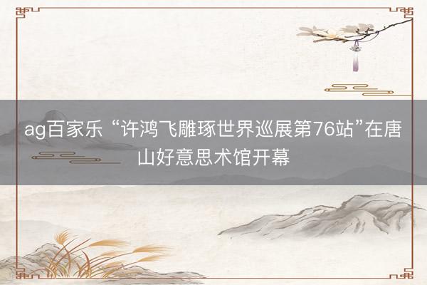 ag百家乐 “许鸿飞雕琢世界巡展第76站”在唐山好意思术馆开幕